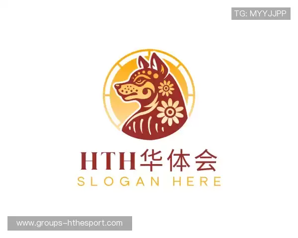 介绍hth华体电竞